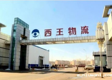 西王物流